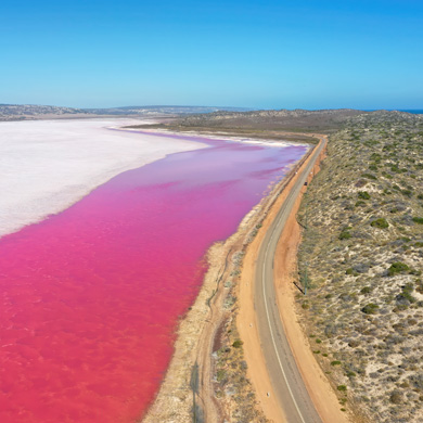 western australiae