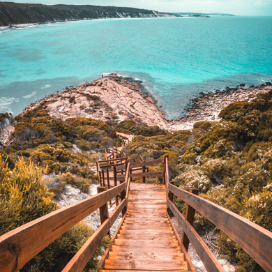 western australiae
