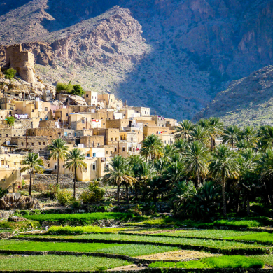 OMAN EXPERIENCEe