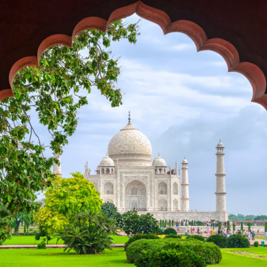 INDIA TRIANGOLO D'ORO PRESTIGEe