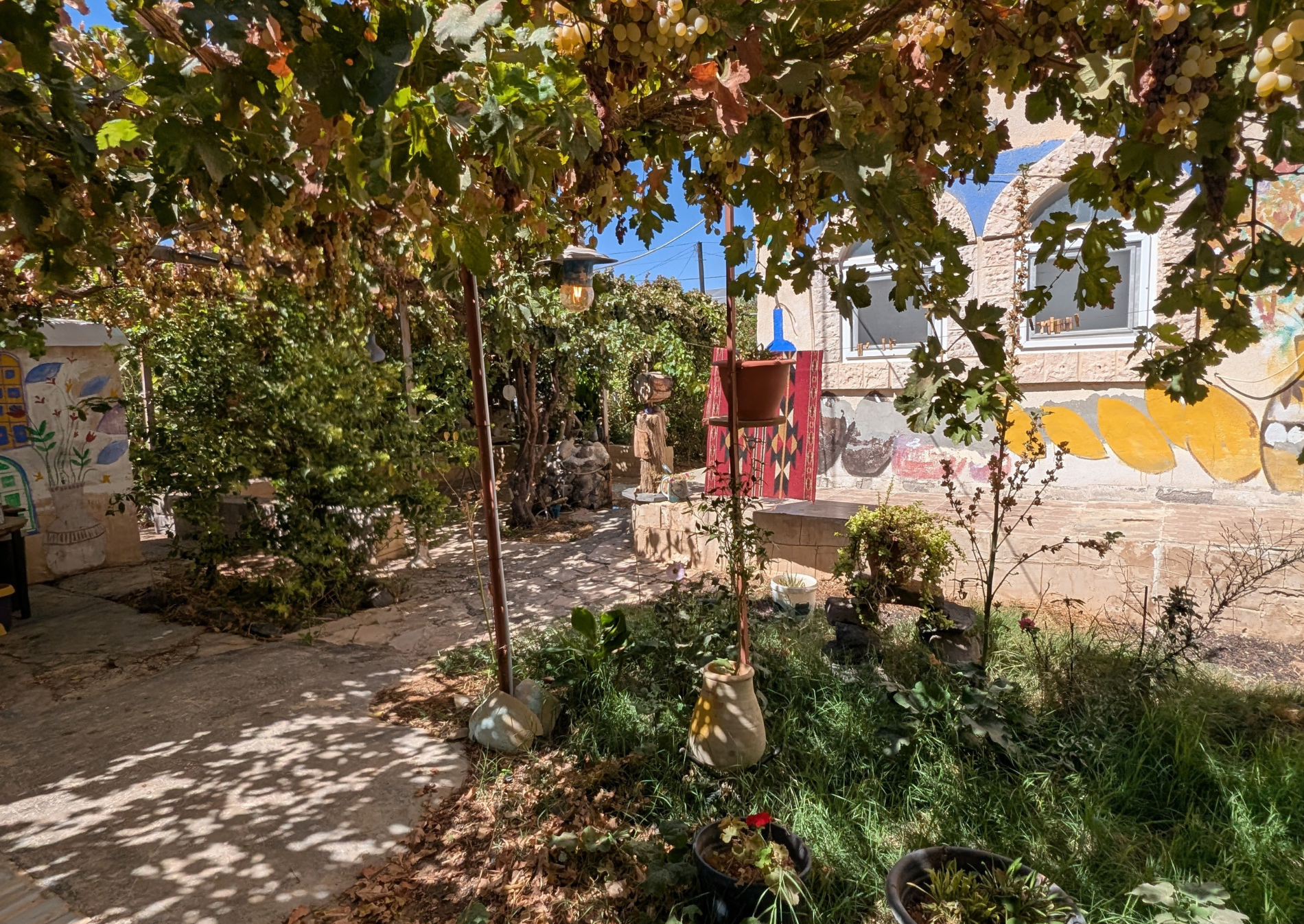 giardino.ombreggiato-viti-piante-frutti