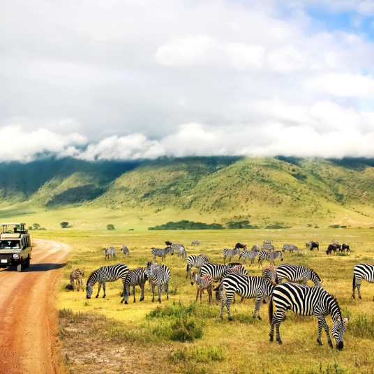 TANZANIAe