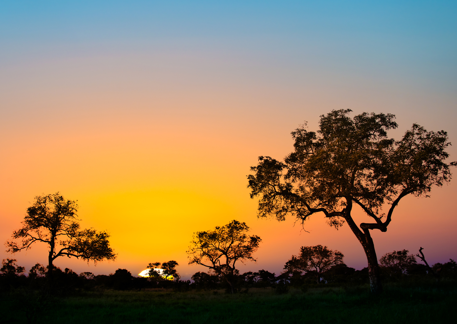 savana-southafrica-kruger-national-park