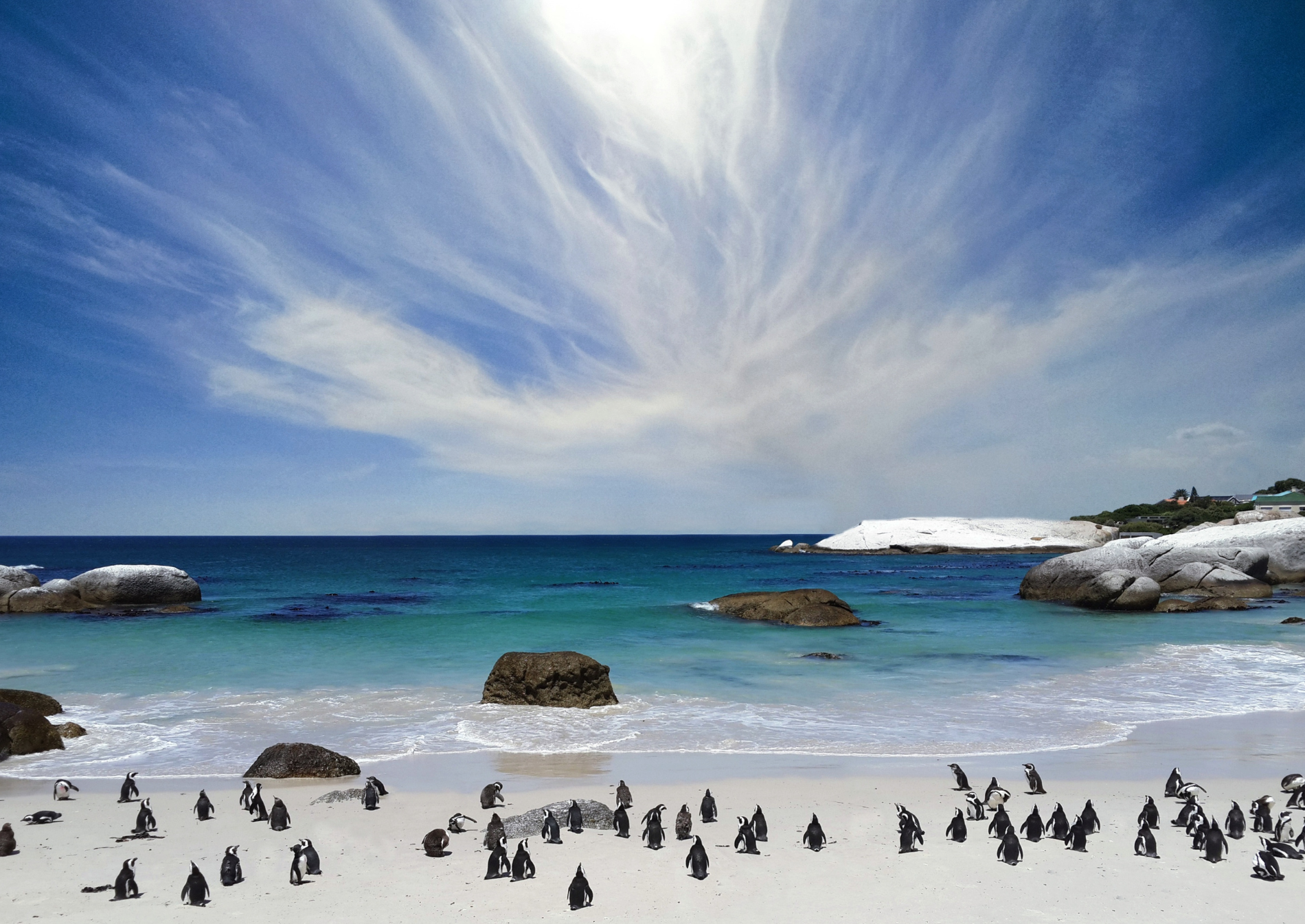 boulders-beach-pinguins-south-africa