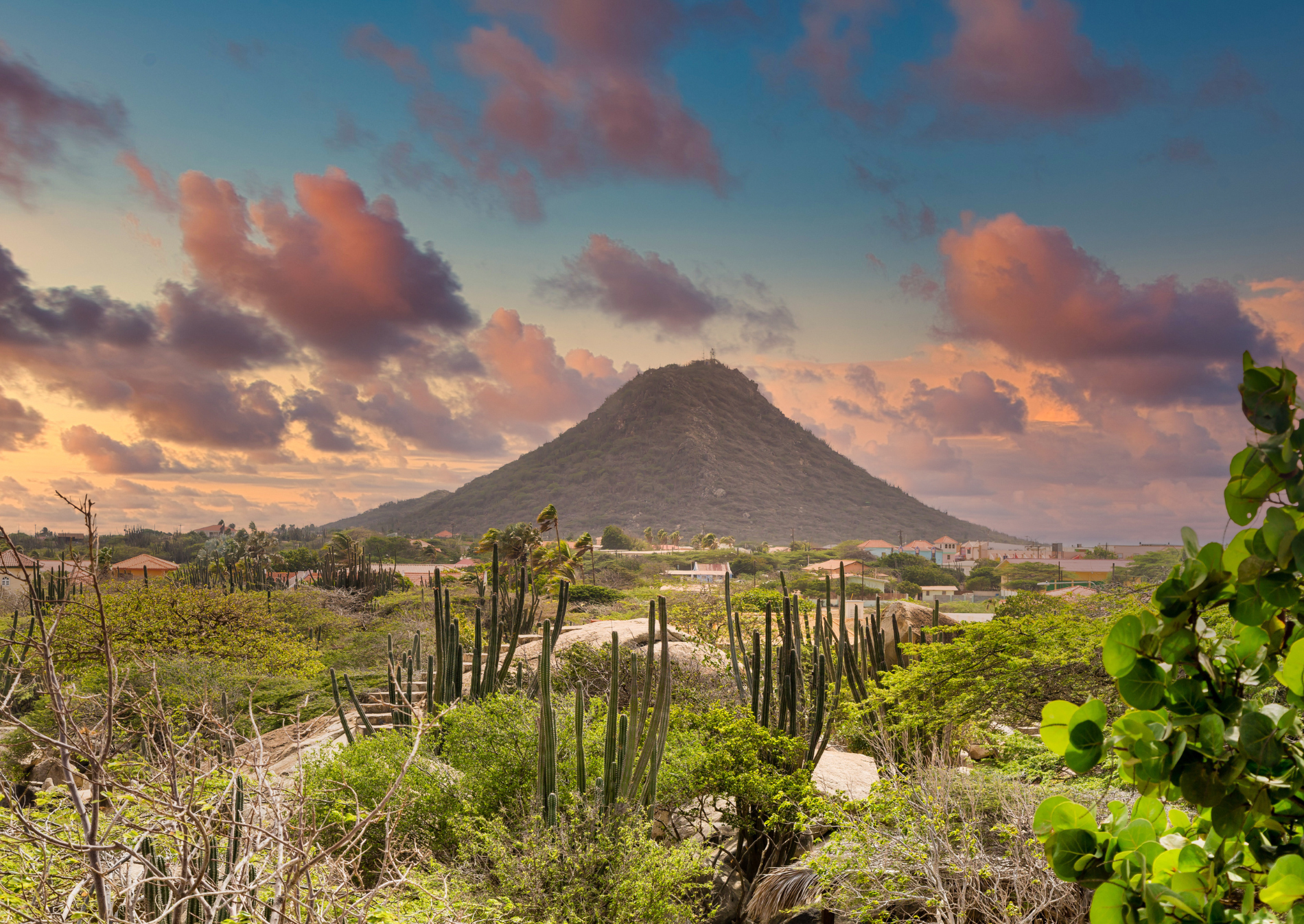 aruba-cactus-trekking