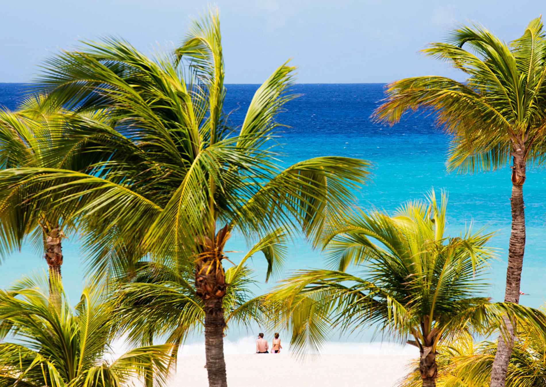 palms-aruba-beach