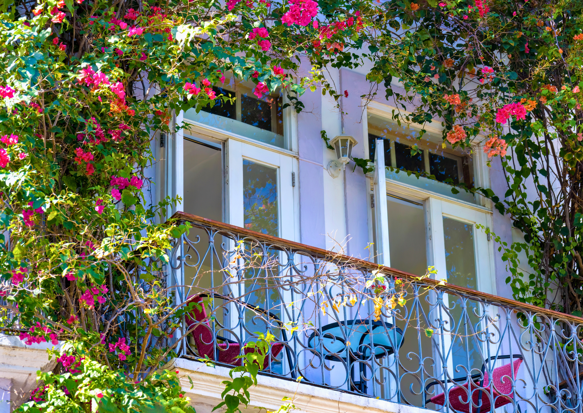 casco-viejo-balcony-bougainvillea