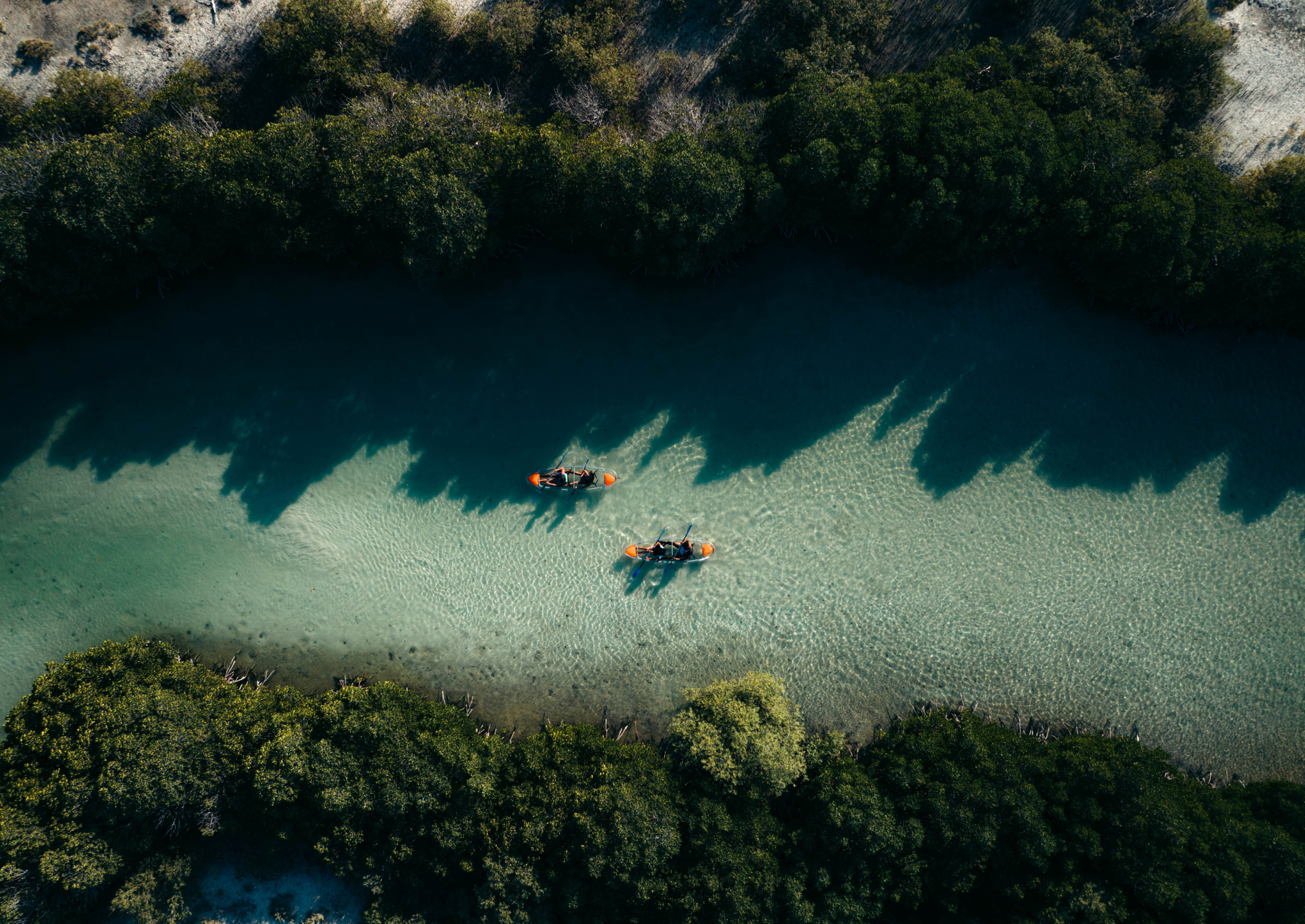 red-sea-saudi-arabia-mangrove-kayaking-lagoon