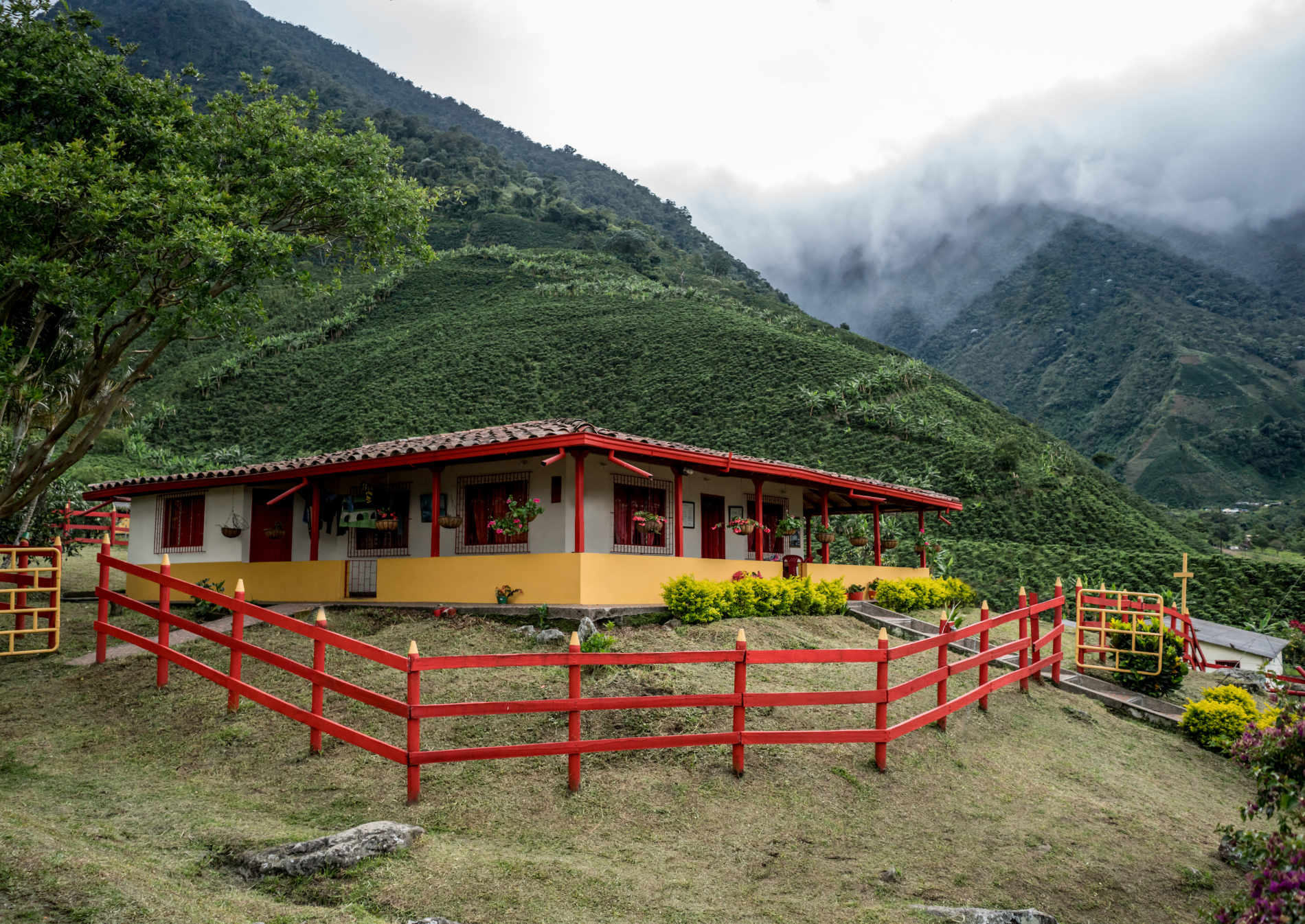 Hacienda tra le piantagioni di caffè