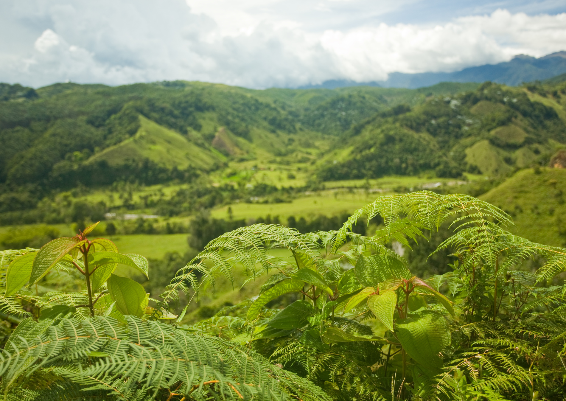 colombia-coffee-region-green-hills
