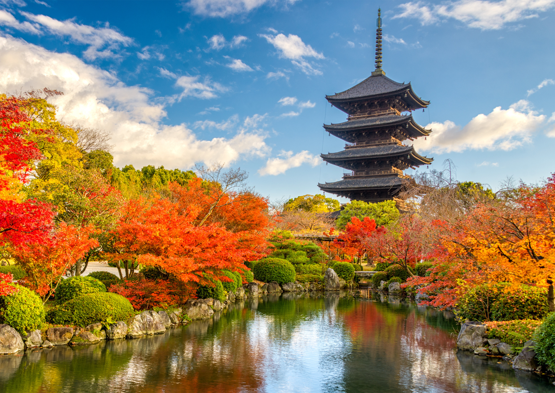 toji-temple-kyoto-autumn-foliage