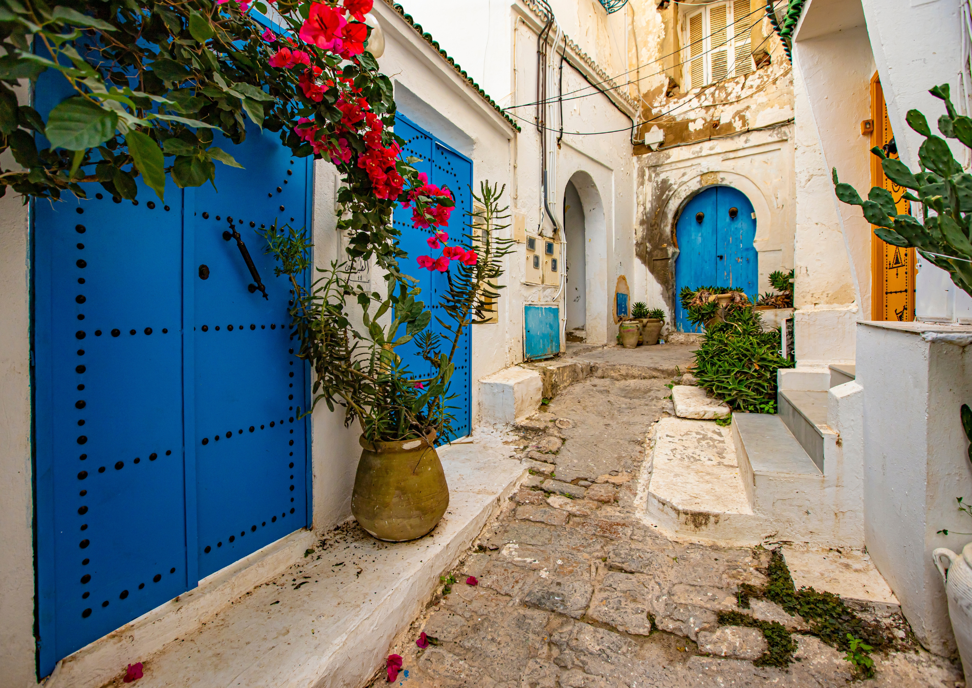 sidi-bou-said-blue-doors-tunisia