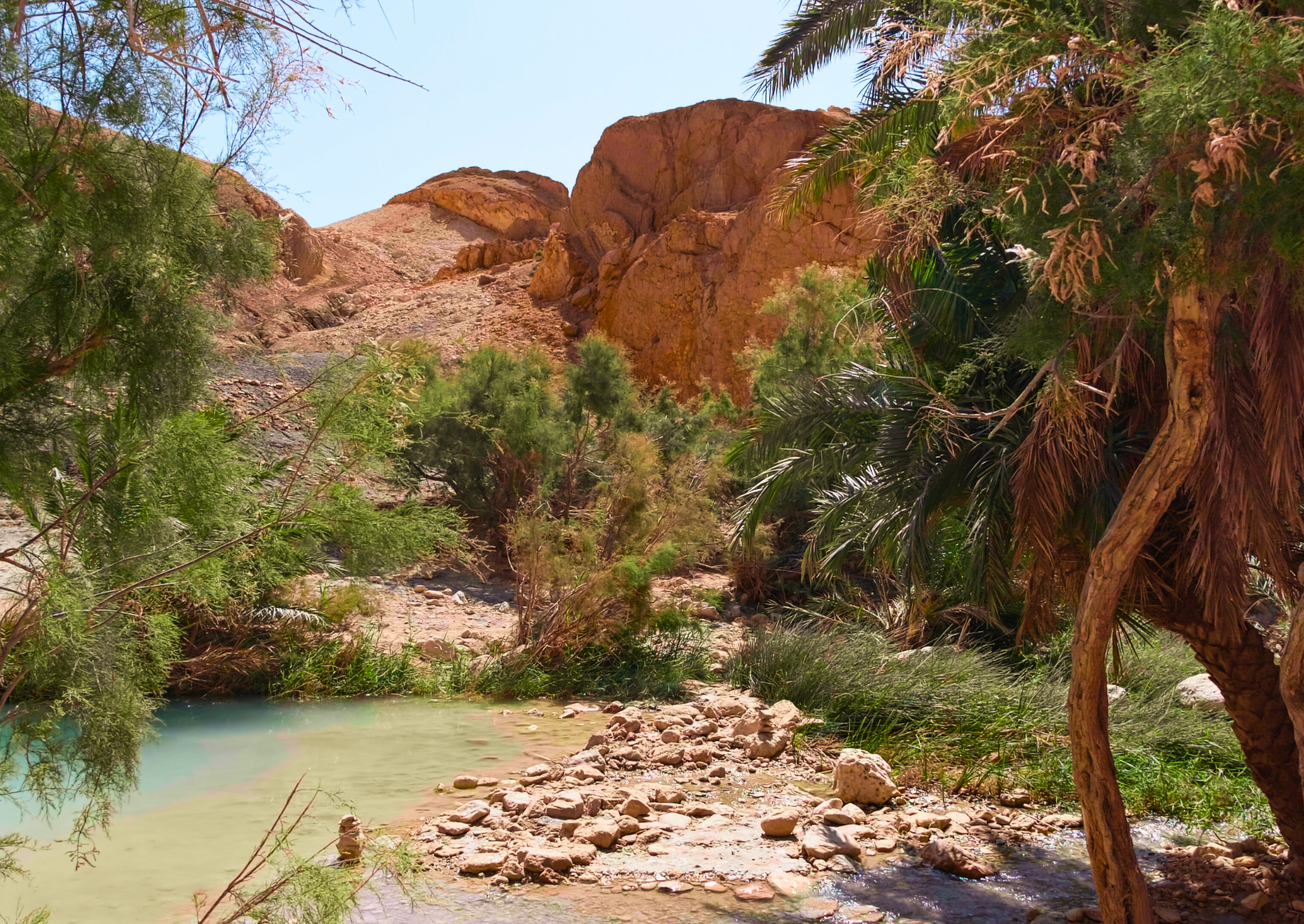 chebika-mountain-oasis-tunisia