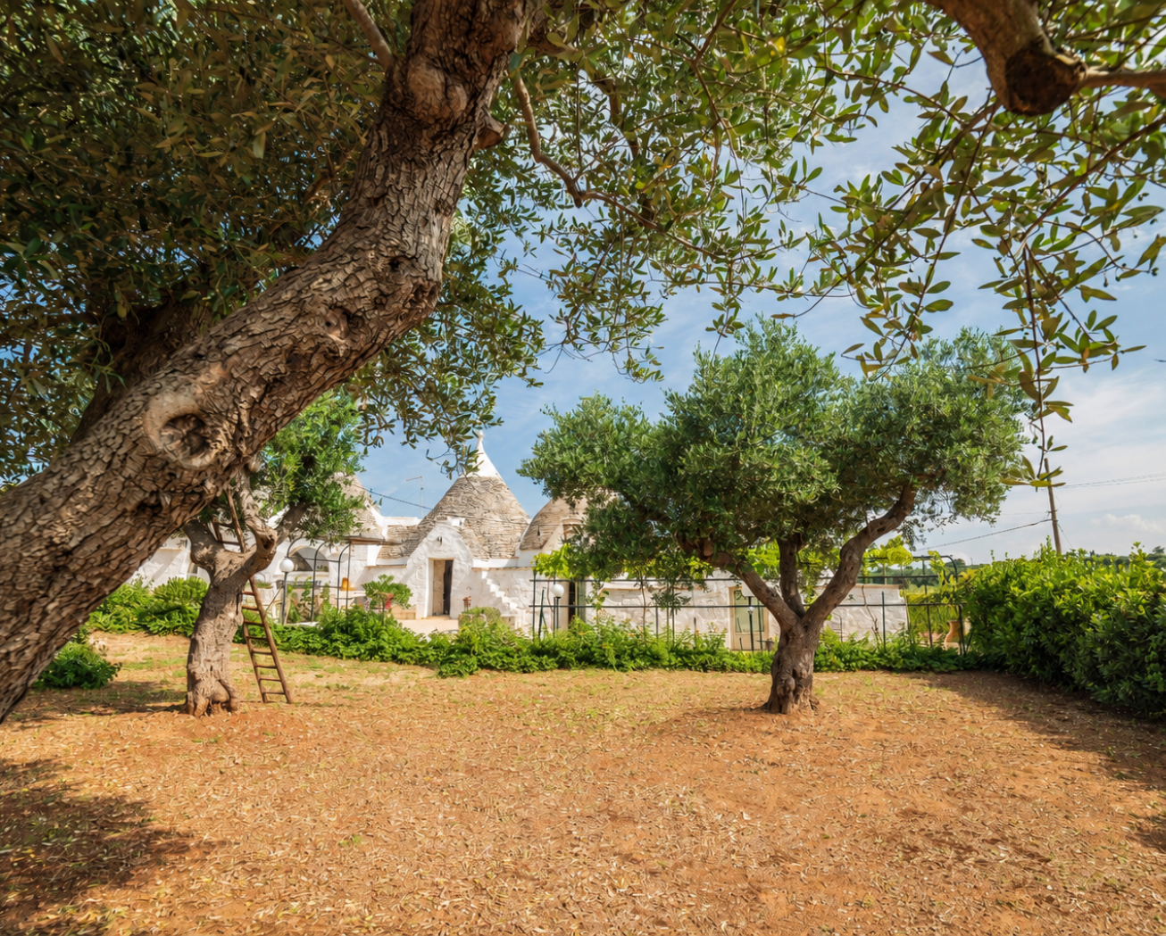 Trulli della Valle d'Itria