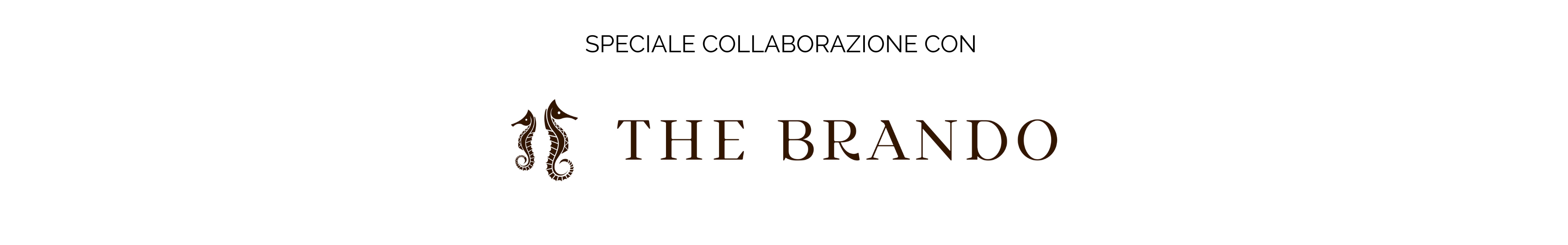 footer_thebrando