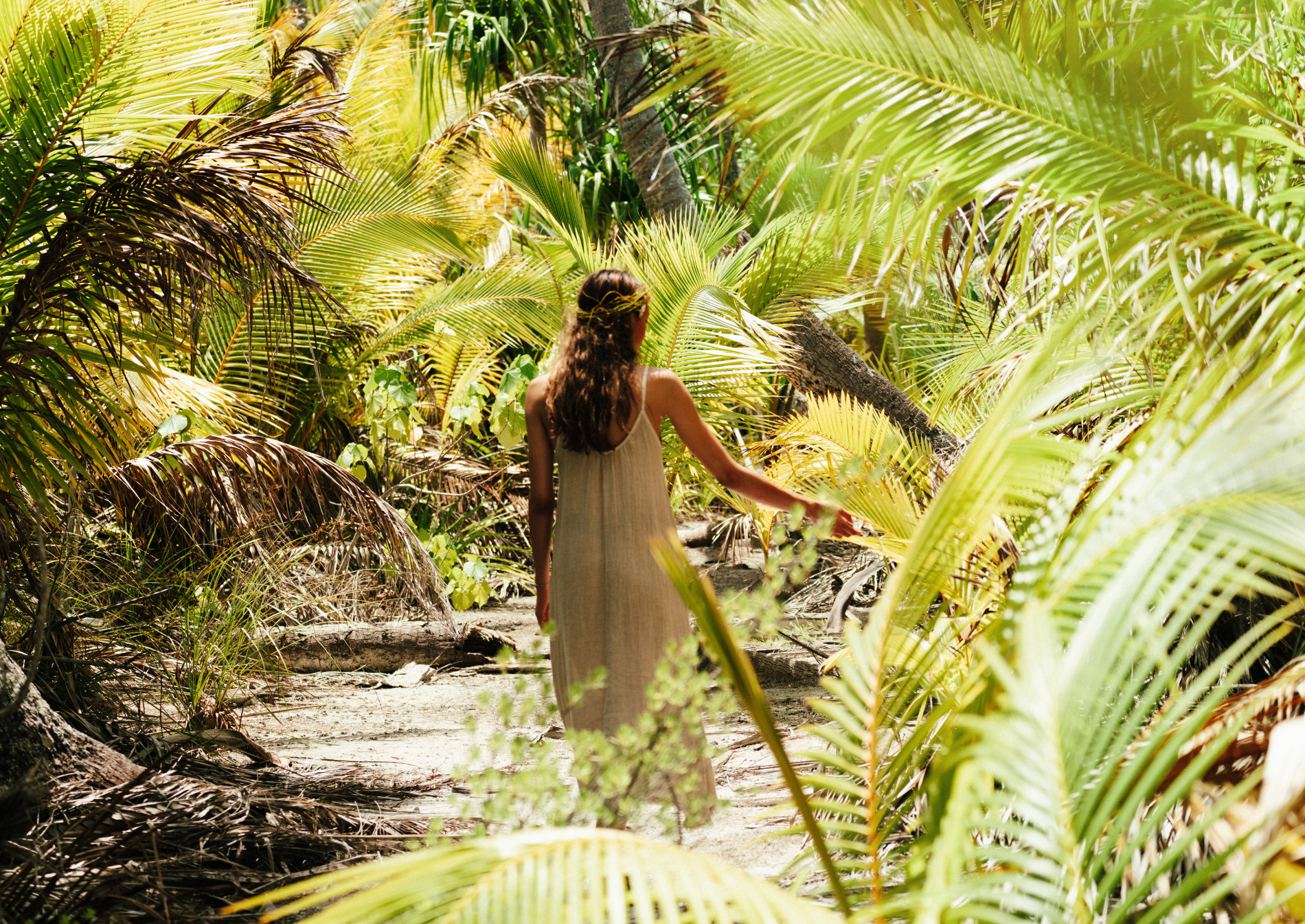 tetiaroa-tropical-vegetation-french-polynesia